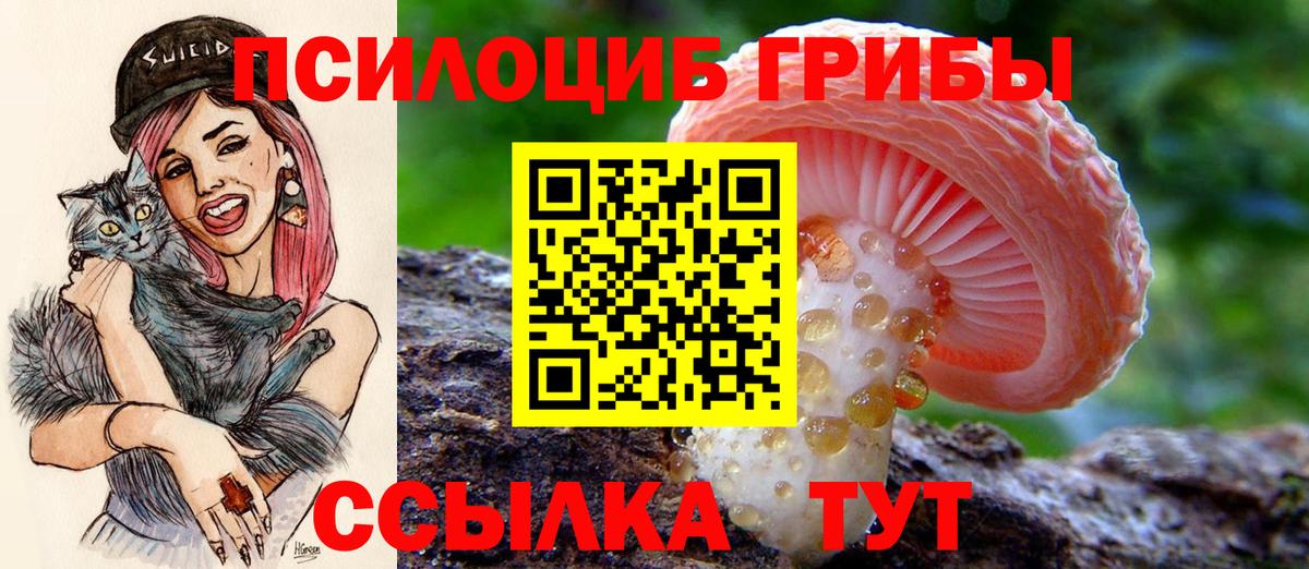 Галлюциногенные грибы Magic Shrooms Дзержинский