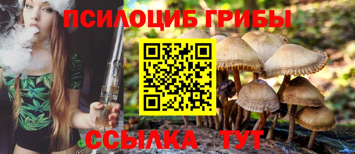 Дзержинский  Псилоцибиновые грибы мицелий  Галлюциногенные грибы Cubensis  Вход с VPN 