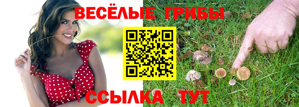 Псилоцибиновые грибы ЛСД  Дзержинский 