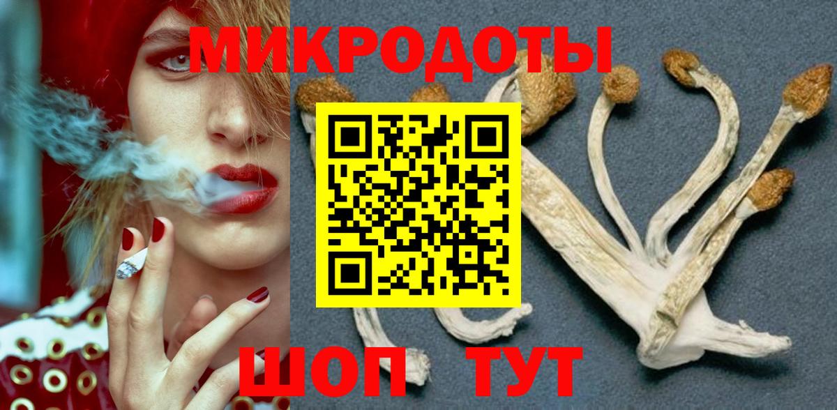 Галлюциногенные грибы прущие грибы Дзержинский